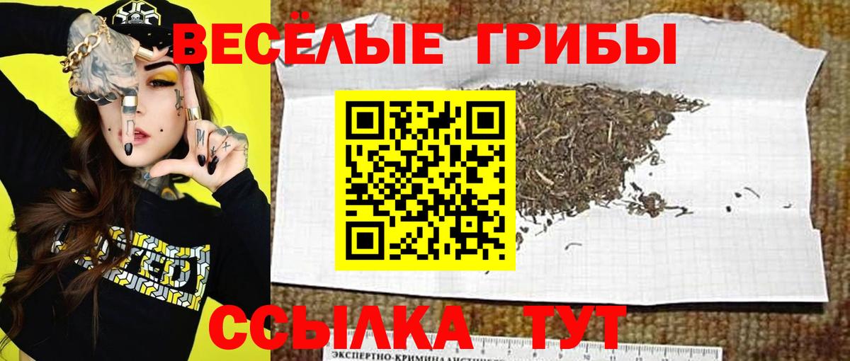 Галлюциногенные грибы Cubensis Приморско-Ахтарск